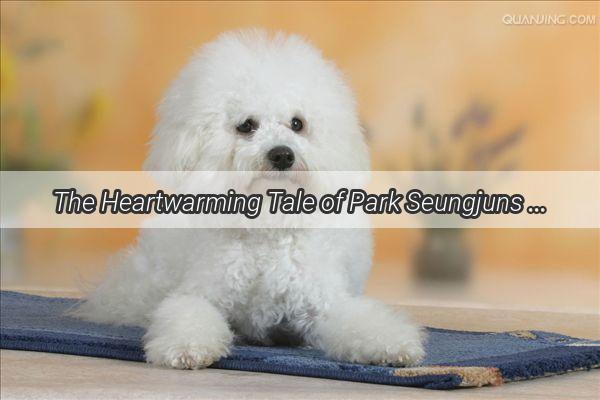 The Heartwarming Tale of Park Seungjuns Furry Companions Meet His Beloved Canine Sidekicks